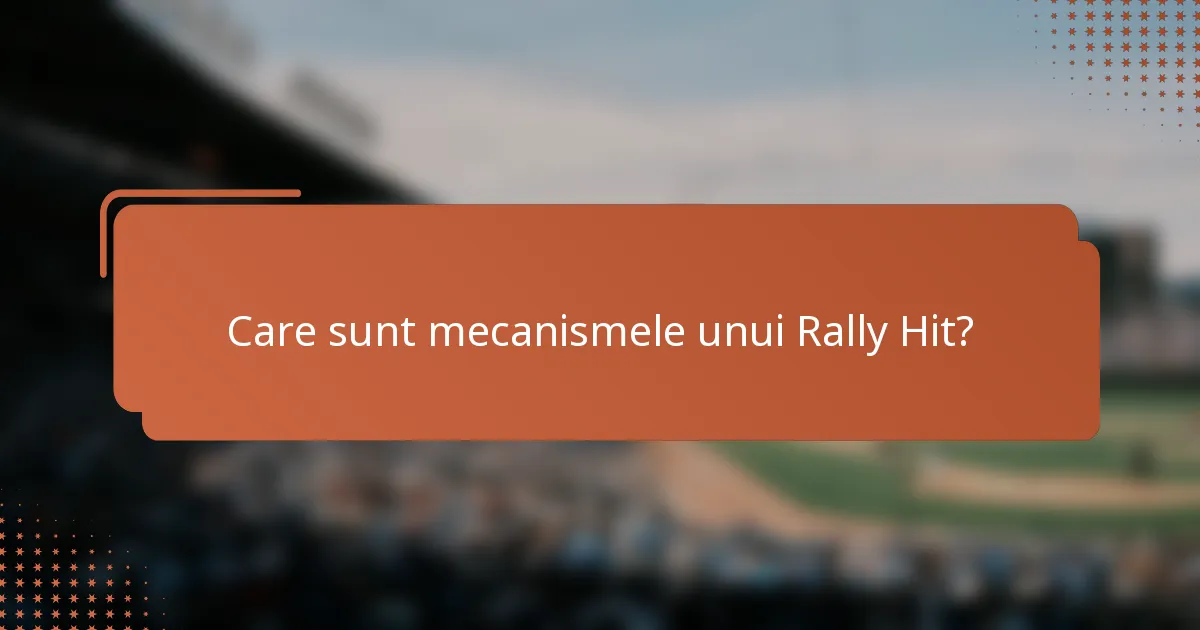 Care sunt mecanismele unui Rally Hit?