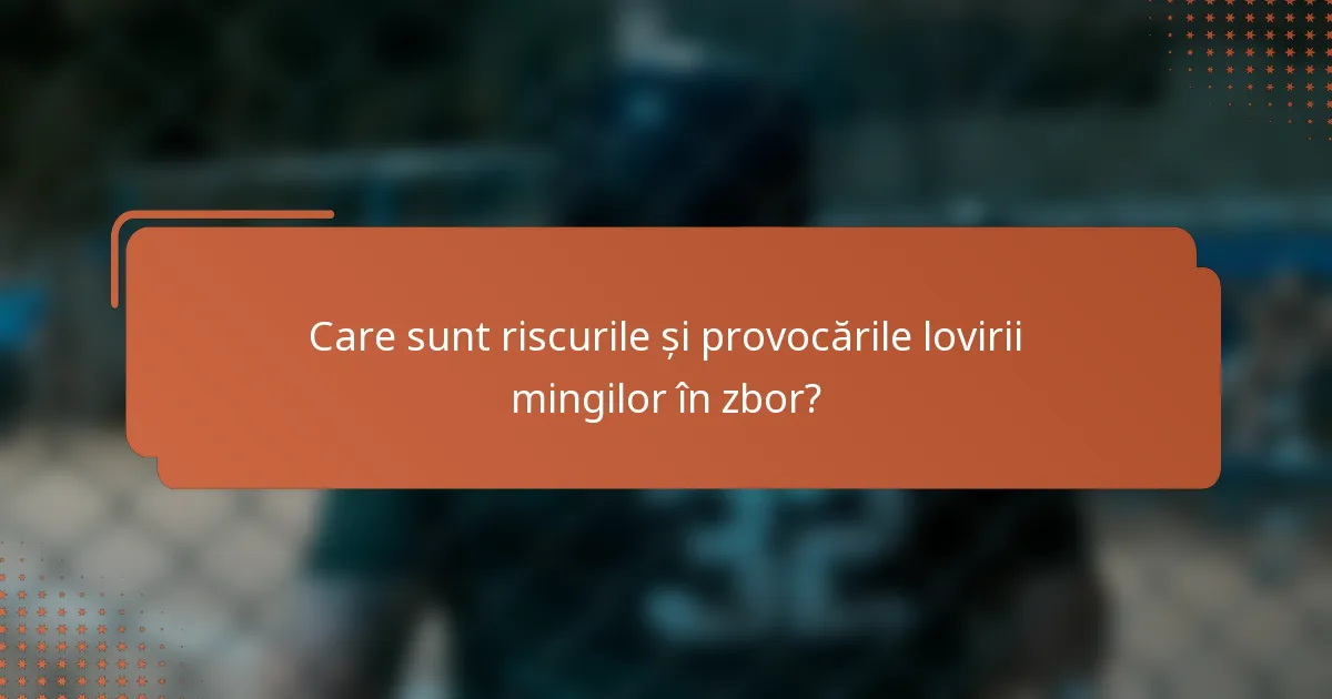 Care sunt riscurile și provocările lovirii mingilor în zbor?